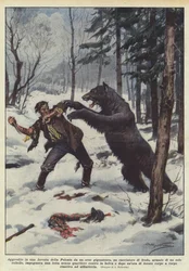 In einem Wald in Polen von einem riesigen Bären angegriffen, ein Wilderer